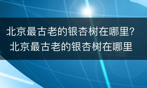 北京最古老的银杏树在哪里？ 北京最古老的银杏树在哪里