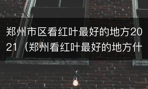 郑州市区看红叶最好的地方2021（郑州看红叶最好的地方什么时候结束）