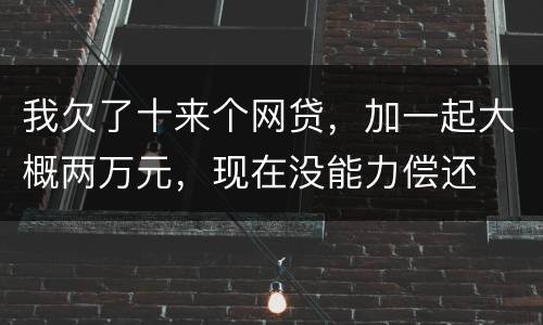 我欠了十来个网贷，加一起大概两万元，现在没能力偿还