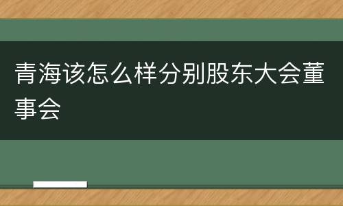 青海该怎么样分别股东大会董事会