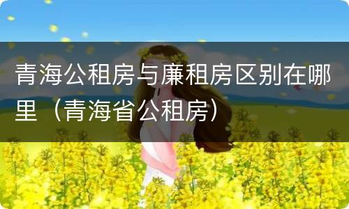 青海公租房与廉租房区别在哪里（青海省公租房）