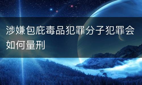 涉嫌包庇毒品犯罪分子犯罪会如何量刑