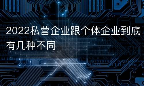 2022私营企业跟个体企业到底有几种不同