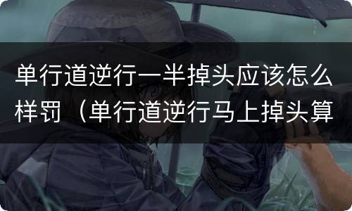 单行道逆行一半掉头应该怎么样罚（单行道逆行马上掉头算违章吗）