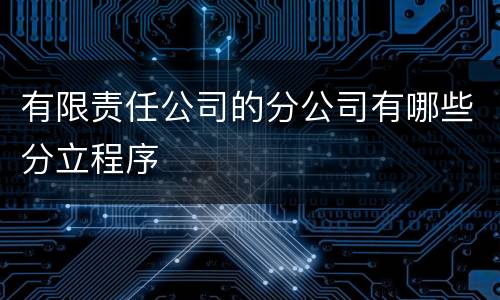 有限责任公司的分公司有哪些分立程序