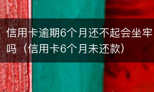 信用卡逾期6个月还不起会坐牢吗（信用卡6个月未还款）