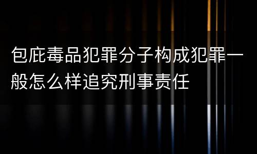 包庇毒品犯罪分子构成犯罪一般怎么样追究刑事责任