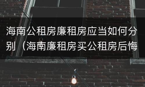 海南公租房廉租房应当如何分别（海南廉租房买公租房后悔了）