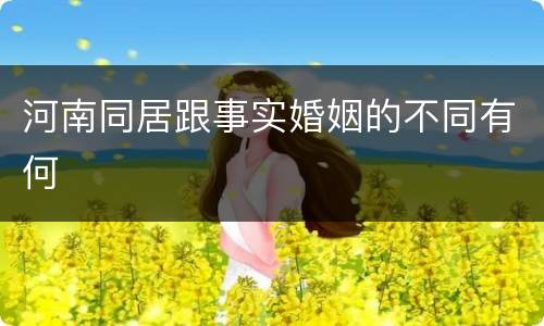 河南同居跟事实婚姻的不同有何