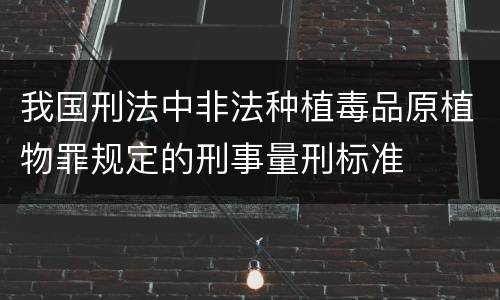 我国刑法中非法种植毒品原植物罪规定的刑事量刑标准