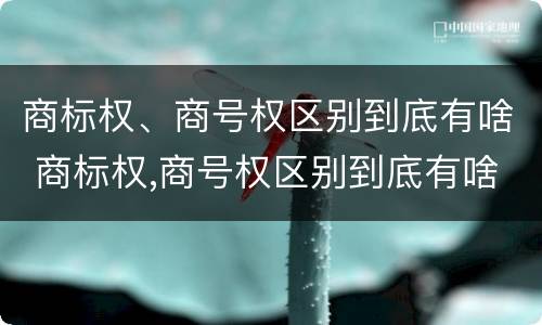 商标权、商号权区别到底有啥 商标权,商号权区别到底有啥不同