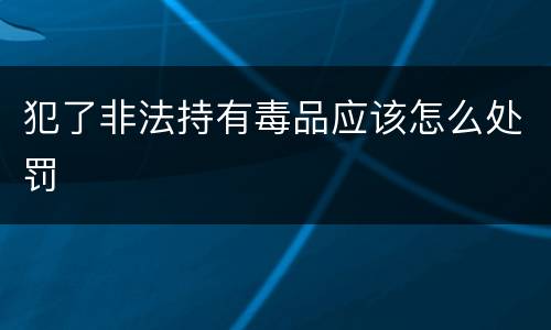 犯了非法持有毒品应该怎么处罚