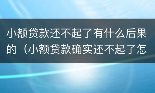 小额贷款还不起了有什么后果的（小额贷款确实还不起了怎么办）