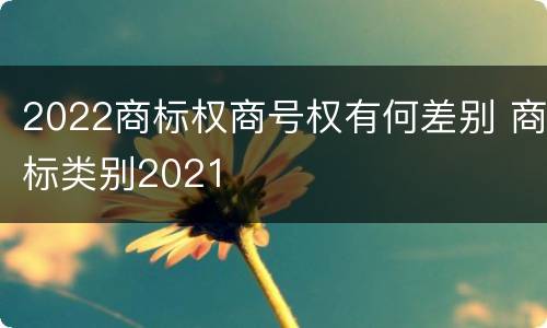 2022商标权商号权有何差别 商标类别2021