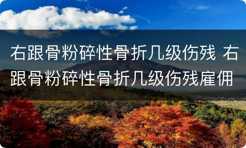 右跟骨粉碎性骨折几级伤残 右跟骨粉碎性骨折几级伤残雇佣损伤