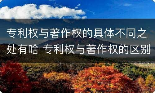 专利权与著作权的具体不同之处有啥 专利权与著作权的区别与联系