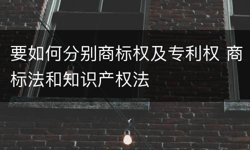 要如何分别商标权及专利权 商标法和知识产权法