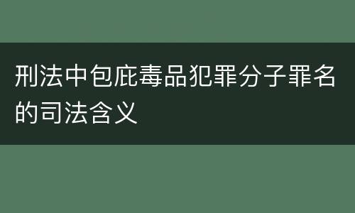 刑法中包庇毒品犯罪分子罪名的司法含义