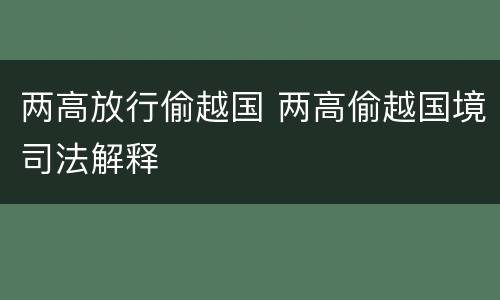 两高放行偷越国 两高偷越国境司法解释