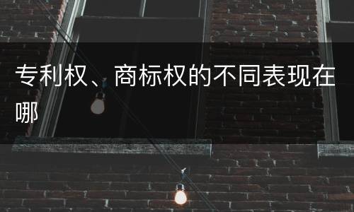 专利权、商标权的不同表现在哪