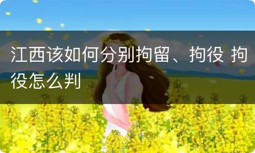 江西该如何分别拘留、拘役 拘役怎么判