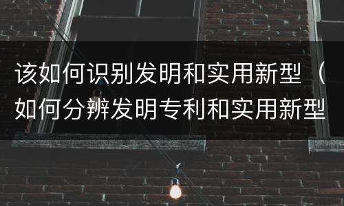 该如何识别发明和实用新型（如何分辨发明专利和实用新型）