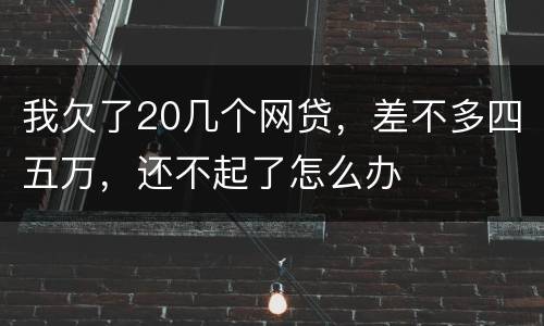 我欠了20几个网贷，差不多四五万，还不起了怎么办