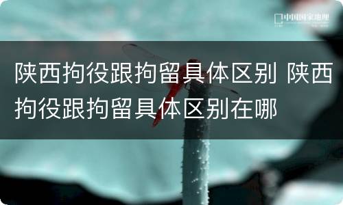 陕西拘役跟拘留具体区别 陕西拘役跟拘留具体区别在哪