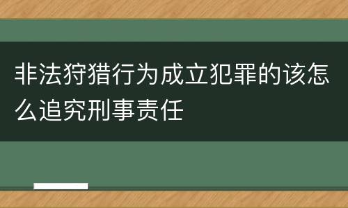 非法狩猎行为成立犯罪的该怎么追究刑事责任