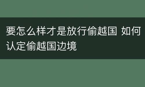 要怎么样才是放行偷越国 如何认定偷越国边境