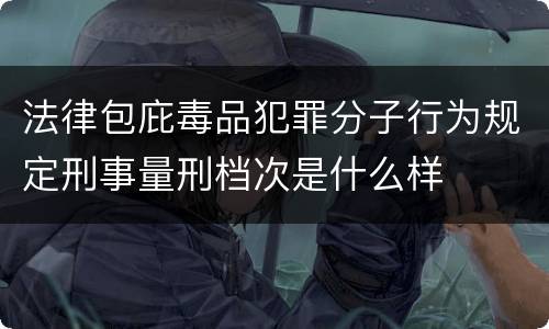 法律包庇毒品犯罪分子行为规定刑事量刑档次是什么样