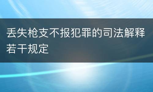 丢失枪支不报犯罪的司法解释若干规定