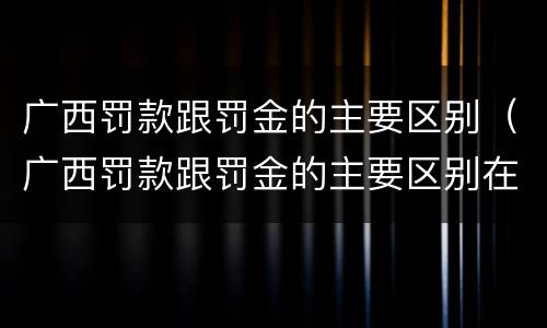 广西罚款跟罚金的主要区别（广西罚款跟罚金的主要区别在于）