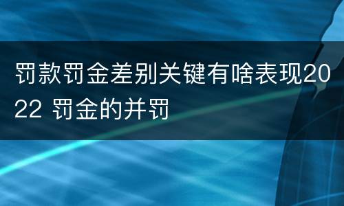 罚款罚金差别关键有啥表现2022 罚金的并罚