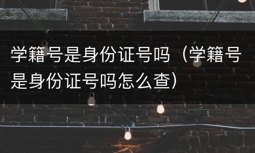 学籍号是身份证号吗（学籍号是身份证号吗怎么查）