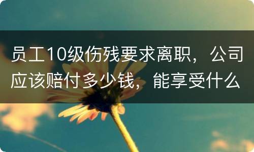 员工10级伤残要求离职，公司应该赔付多少钱，能享受什么待遇