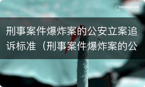 刑事案件爆炸案的公安立案追诉标准（刑事案件爆炸案的公安立案追诉标准是）