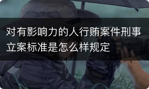 对有影响力的人行贿案件刑事立案标准是怎么样规定