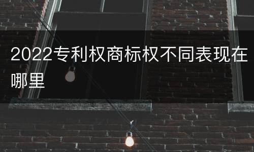 2022专利权商标权不同表现在哪里