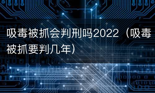 吸毒被抓会判刑吗2022（吸毒被抓要判几年）